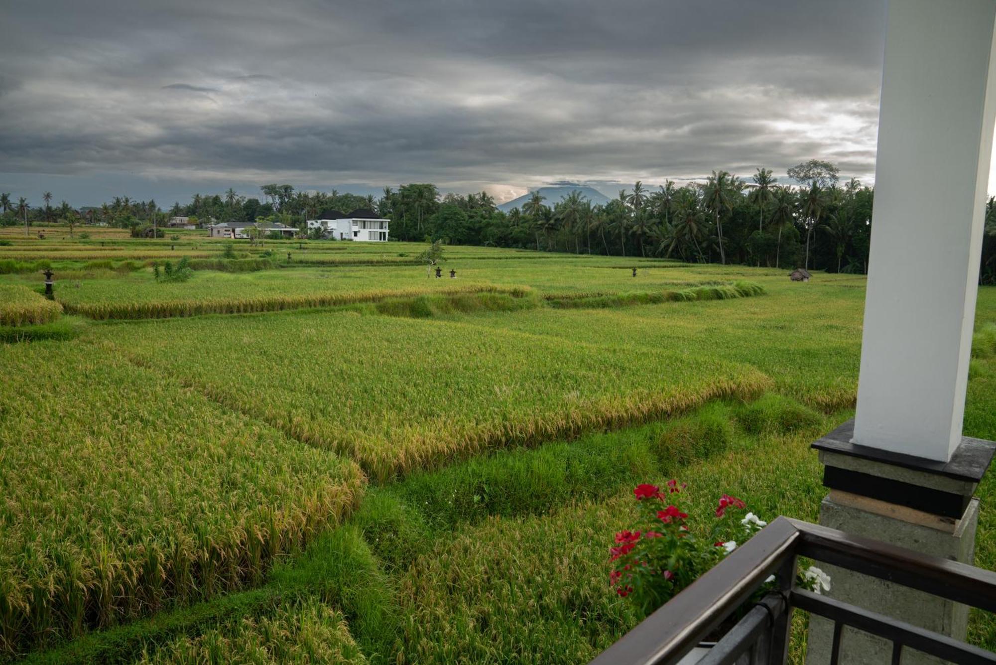 Ananditha Villa Ubud Ricefield Views エクステリア 写真